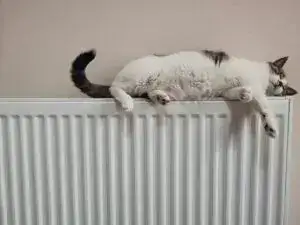 Тепло у батареях