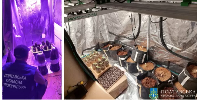 У Полтаві затримали наркоділків