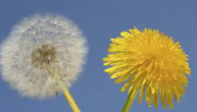 У Полтаві буде спекотно весь тиждень