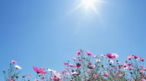 Прогноз погоди в Полтаві 23-26 травня