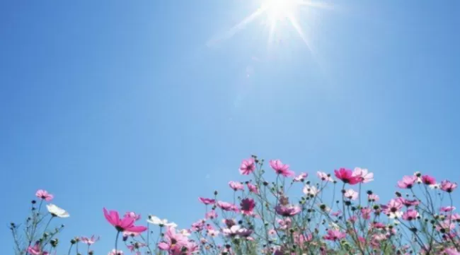 Прогноз погоди в Полтаві 23-26 травня