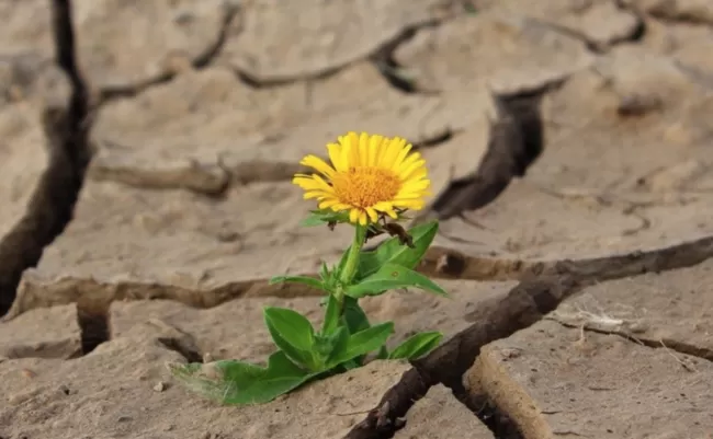 Прогноз погоди на вихідні 3-4 червня у Полтаві