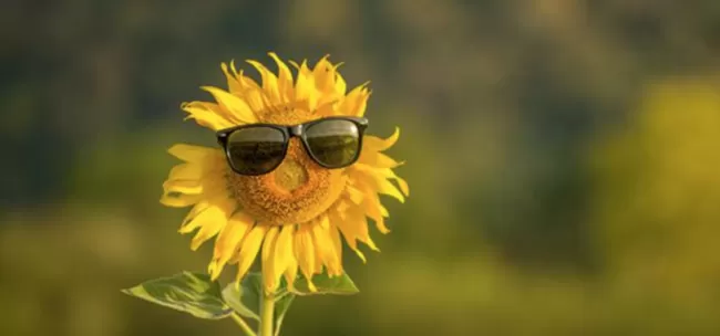 Прогноз погоди на вихідні 10-11 червня в Полтаві