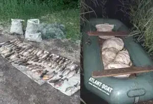 На Полтавщині знову зловили браконьєрів й цього разу вони завдали збитків на 130 тисяч гривень