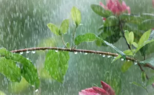 Прогноз погоди в Полтаві 29-30 червня