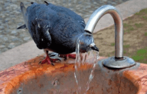 Прогноз погоди в Полтаві 1-2 липня