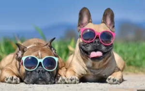 Прогноз погоди 6 та 7 липня в Полтаві