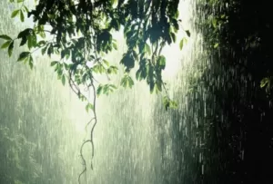 Прогноз погоди в Полтаві на вихідні 8 та 9 липня