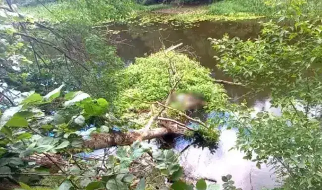 На Полтавщині у Ворсклі знайшли тіло безвісти зниклого чоловіка