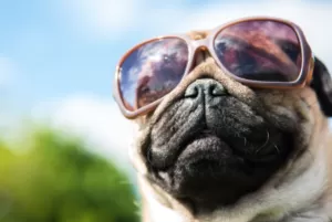 Прогноз погоди в Полтаві на вихідні 15-16 липня