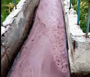 КП "Полтававодоканал" виявила невідому хімічну речовину у Супрунівських очисних спорудах