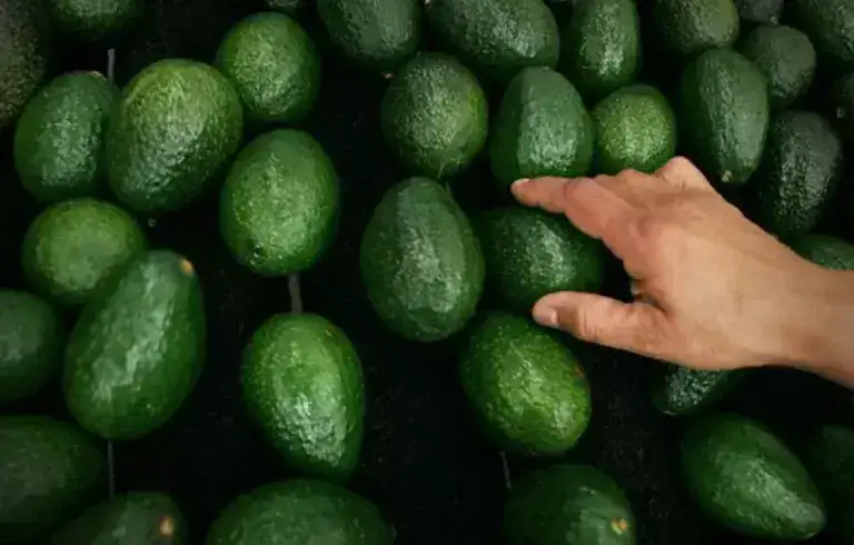 На Полтавщину знову завезли отруйні продукти: цього разу авокадо з Перу