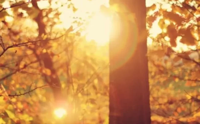 Прогноз погоди в Полтаві 12-13 серпня