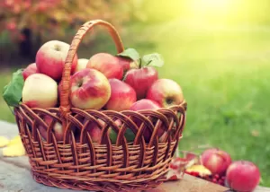 Яблуневий Спас: традиції та що не можна робити в цей день