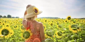 Прогноз погоди в Полтаві 24-25 серпня