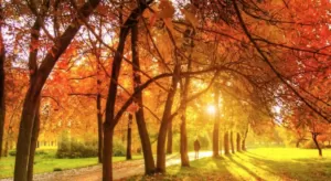 Прогноз погоди в Полтаві 31 серпня та 1 вересня