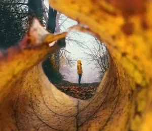 Прогноз погоди в Полтаві 7 та 8 вересня