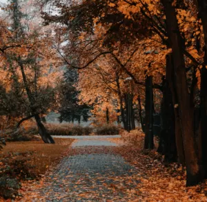 Прогноз погоди в Полтаві 9-11 жовтня