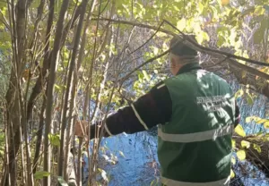 Екологічна катастрофа на Полтавщині: ставок та землю навколо нього забруднили нафтопродуктами