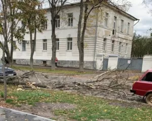 Шість вулиць без світла: в Полтаві штормовий вітер наробив лиха