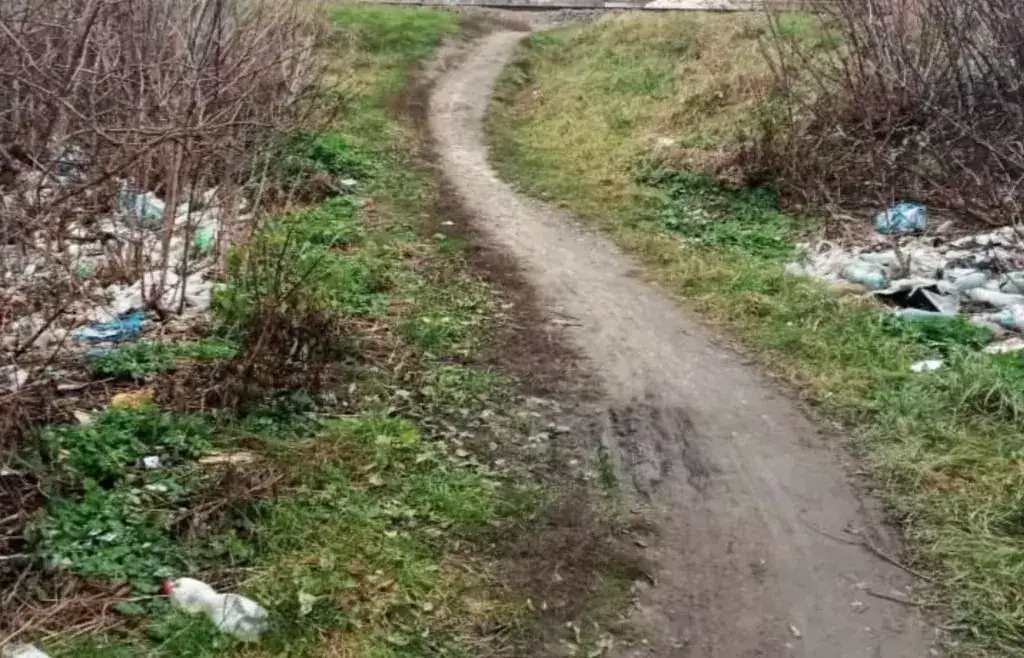 На Полтавщині породілля викинула немовля на смітник