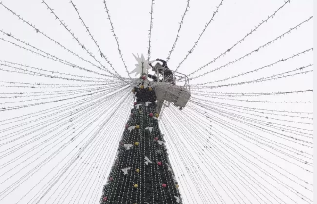 В Полтаві протестуватимуть проти встановлення ялинки