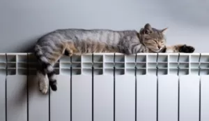 Аварія на тепломережі: в Полтаві 17 багатоповерхівок залишилися без опалення