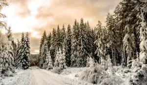 Прогноз погоди в Полтаві 22-24 січня