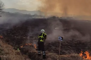 Полтавська ОВА нагадала про заборону спалювання сухостою
