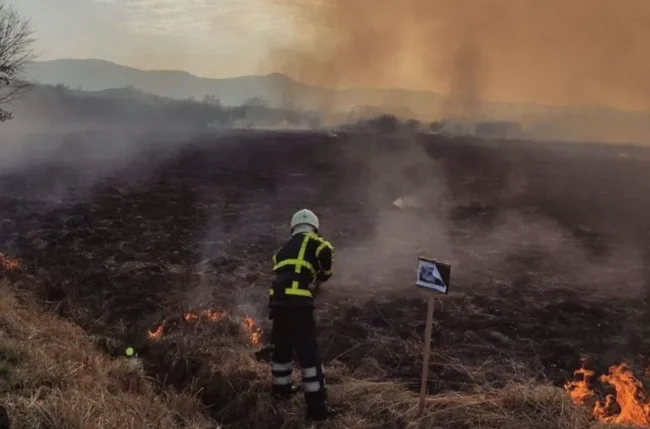 Полтавська ОВА нагадала про заборону спалювання сухостою