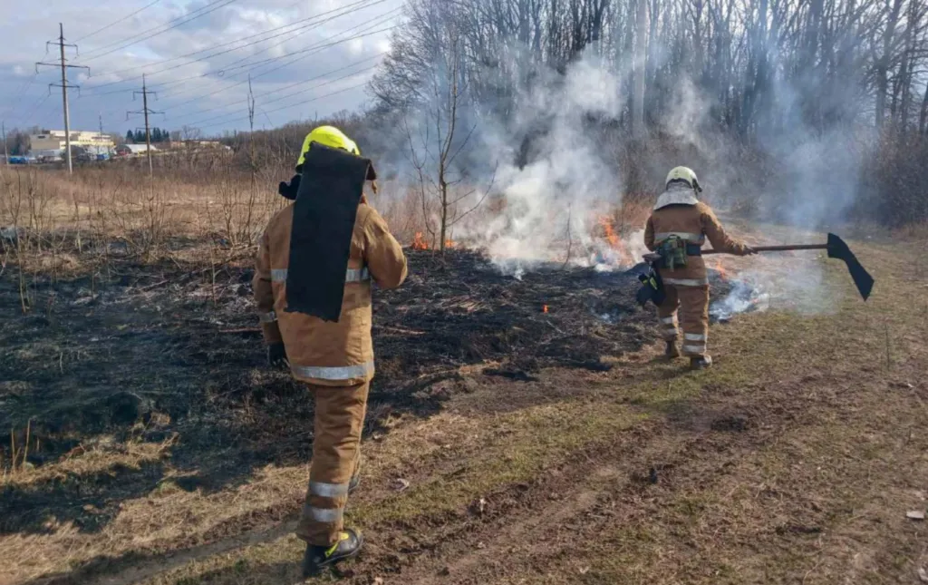 На Полтавщині палають торфовища та ліси: пожежники посилили патрулювання