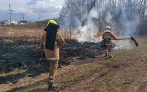 На Полтавщині палають торфовища та ліси: пожежники посилили патрулювання