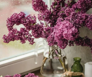 Як подовжити життя букета з бузку: поради флористів