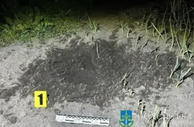 Чоловік підірвав гранату перед поліціянтами, який прибули на виклик "про сімейну сварку"