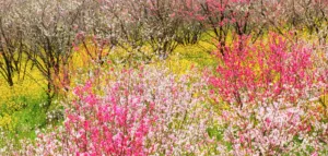 Прогноз погоди в Полтаві у вихідні 18 та 19 травня