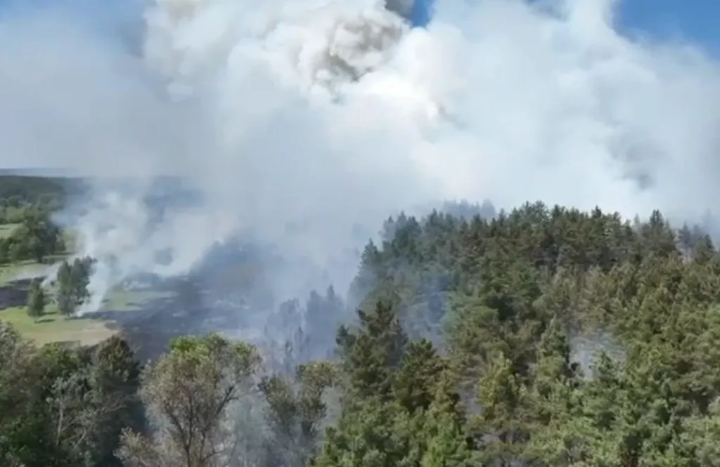 На Полтавщині сталася масштабна лісова пожежа