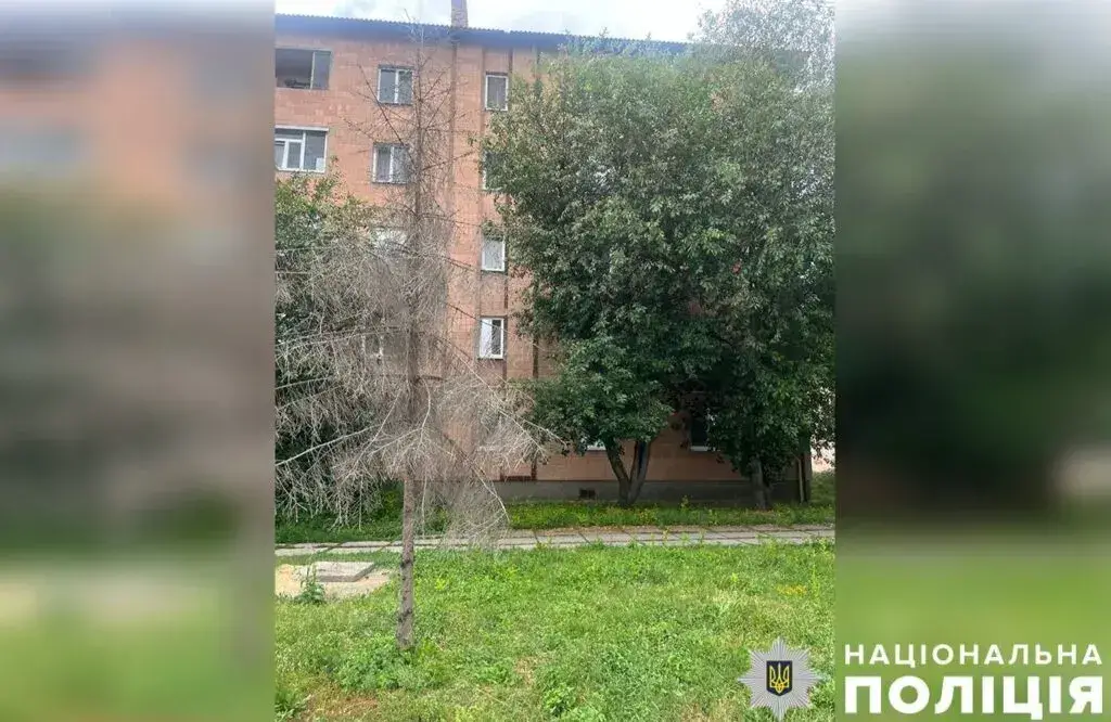 На Полтавщині з вікна 5 поверху випав 4 річний хлопчик