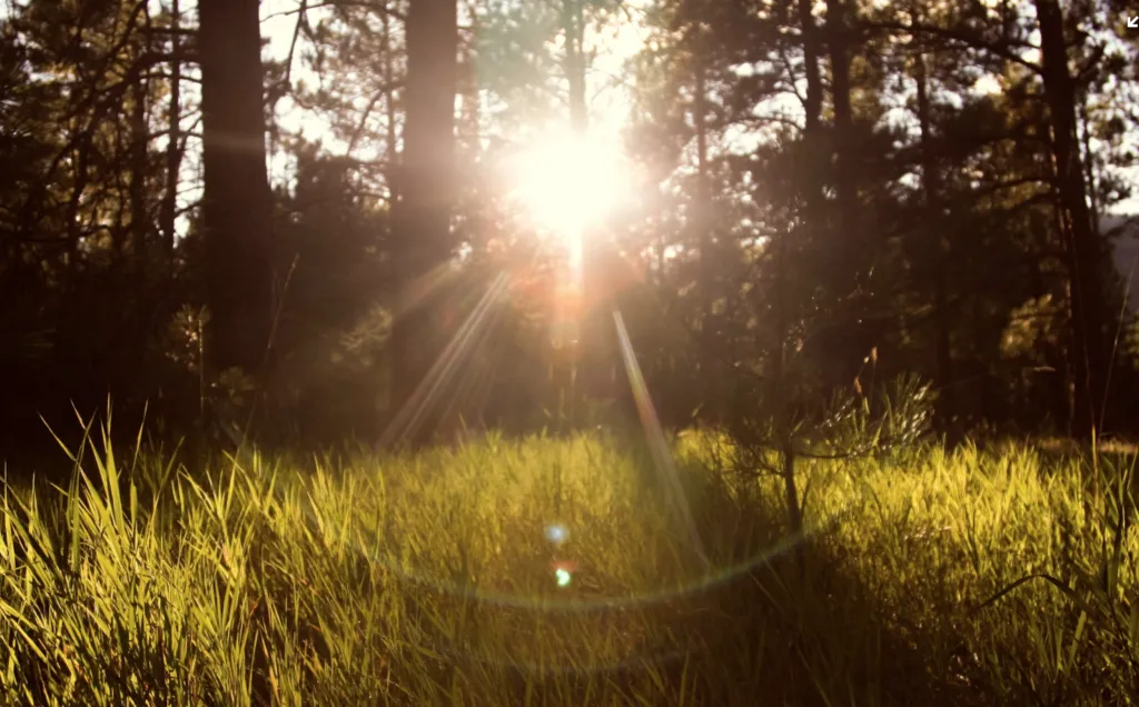 Прогноз погоди в Полтаві 15-17 липня