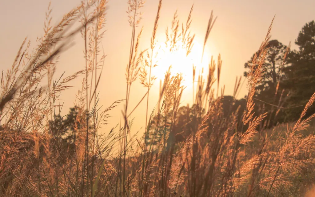 Прогноз погоди в Полтаві 3-4 серпня