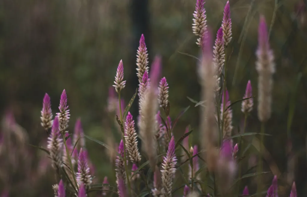 Прогноз погоди в Полтаві 5-7 серпня