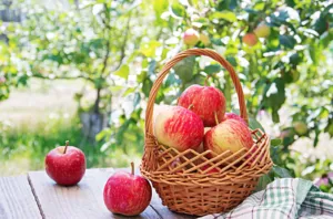 Яблучний Спас за новим календарем: дата, традиції, заборони