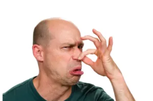 В Полтаві почався сезон смороду: неподалік міста куряче лайно розкидують на полях