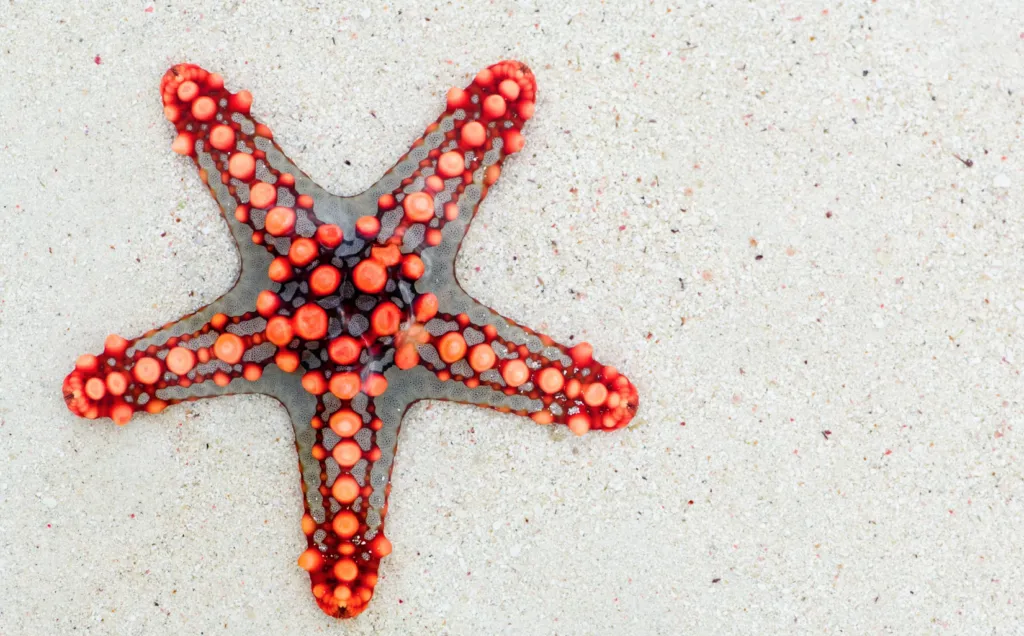 Прогноз погоди в Полтаві 17-18 серпня