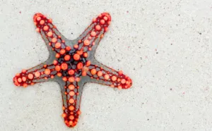 Прогноз погоди в Полтаві 17-18 серпня