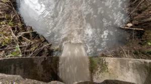 Завод "Кернел" під підозрою у скиданні нечистот до міської каналізації: розслідування триває