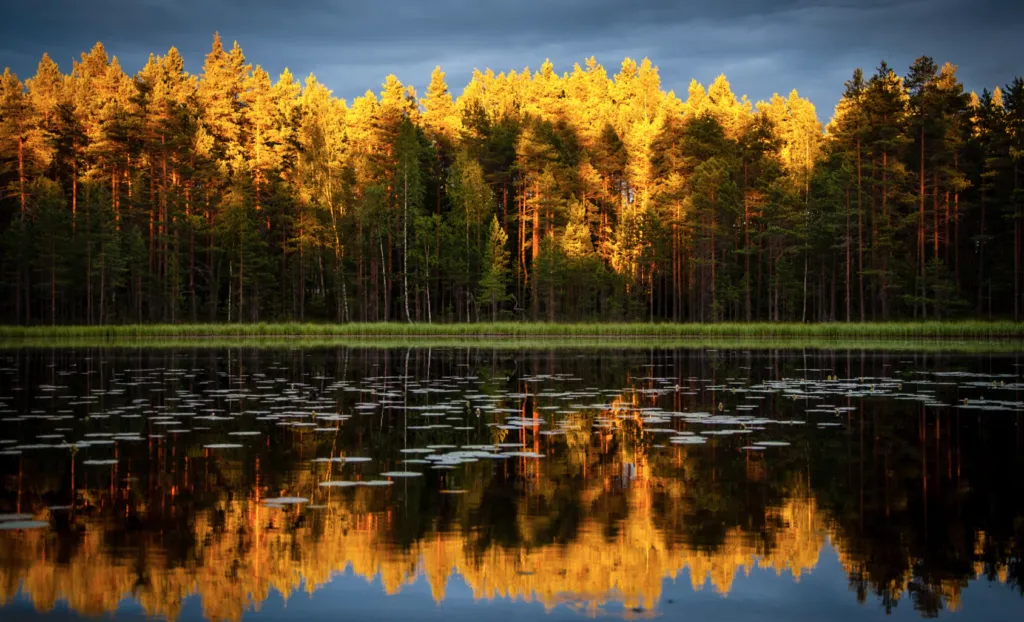 Прогноз погоди в Полтаві 2-4 вересня