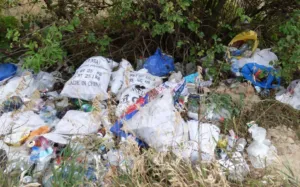 Суд примусить Полтавську ОВА прибрати стихійне сміттєзвалище поблизу сіл Лугове та Драбинівка