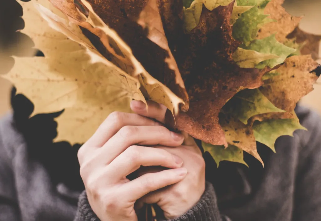 Прогноз погоди в Полтаві 7 та 8 вересня