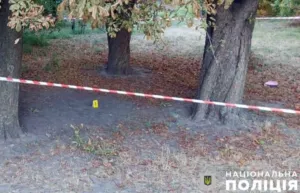 В Гребінці стався вибух гранати: є поранені