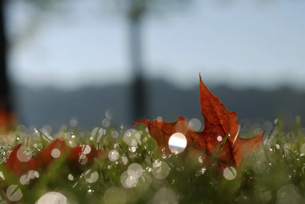 Прогноз погоди в Полтаві 12-13 вересня